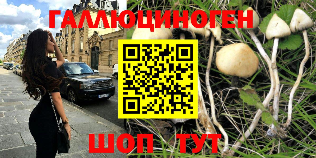 Галлюциногенные грибы мухоморы  Вход с VPN  Гулькевичи 